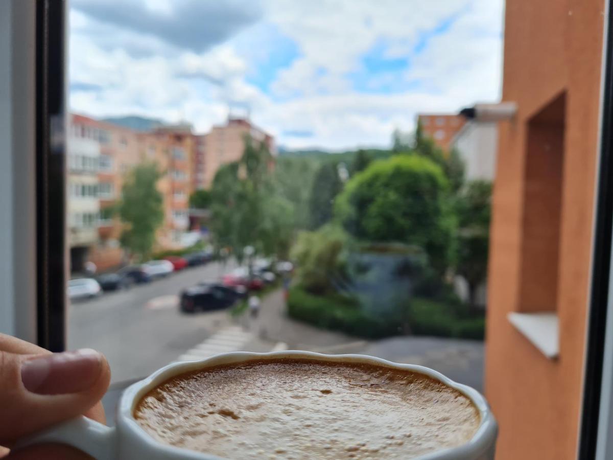 Smart Apartament Braşov Esterno foto
